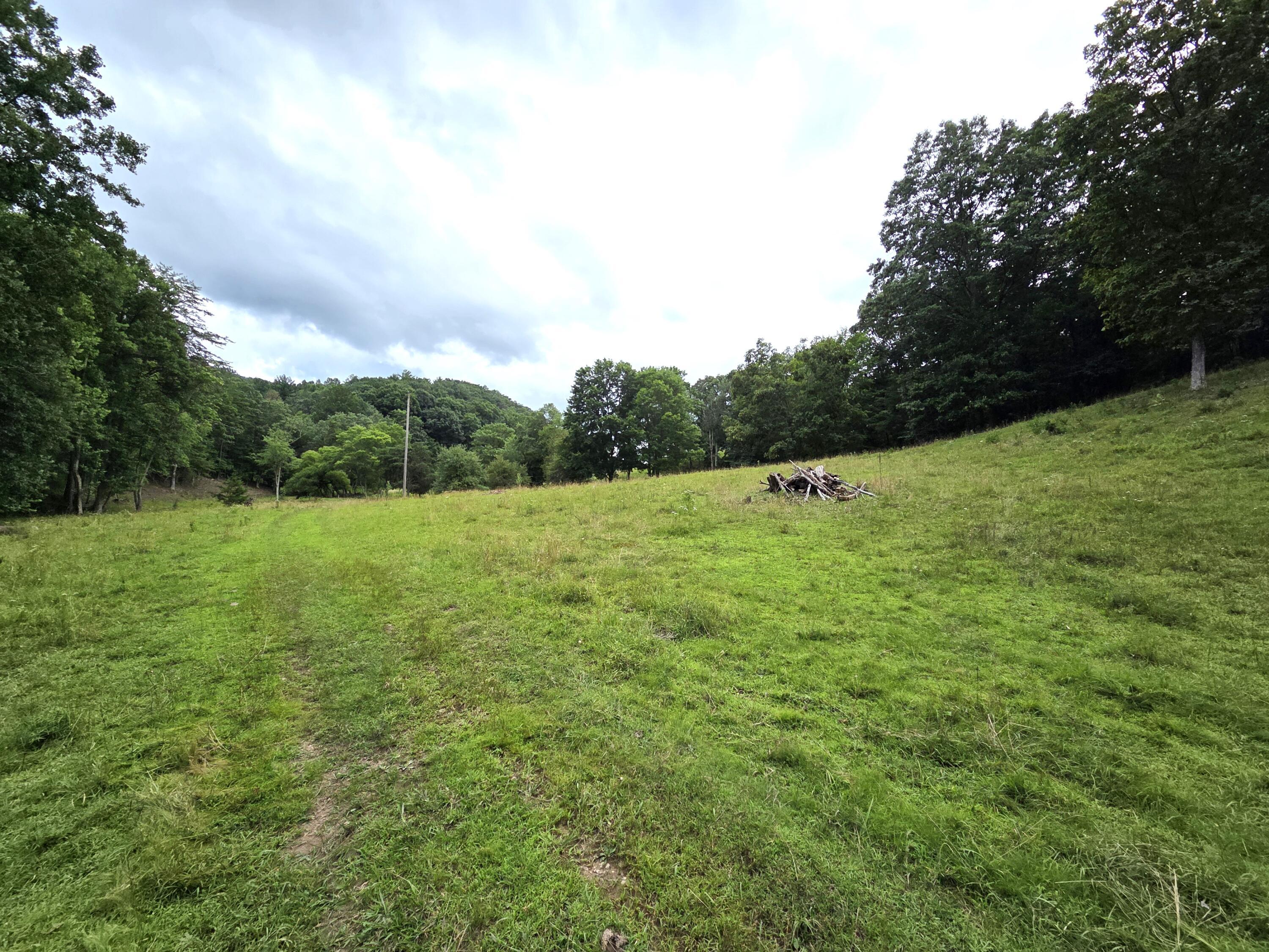 Image 4: 20250720_155933