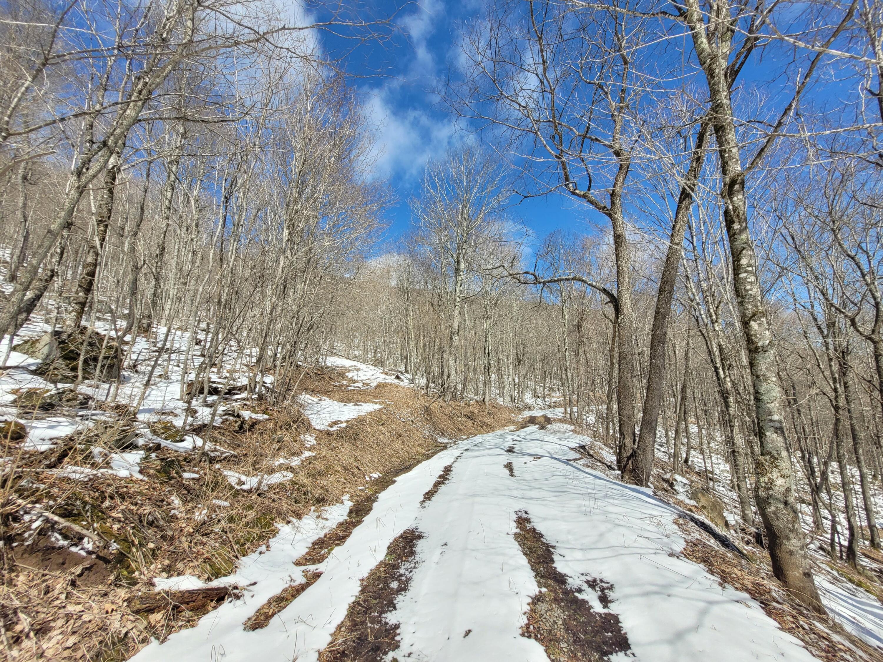 Image 3: 20230319_134519 (1)