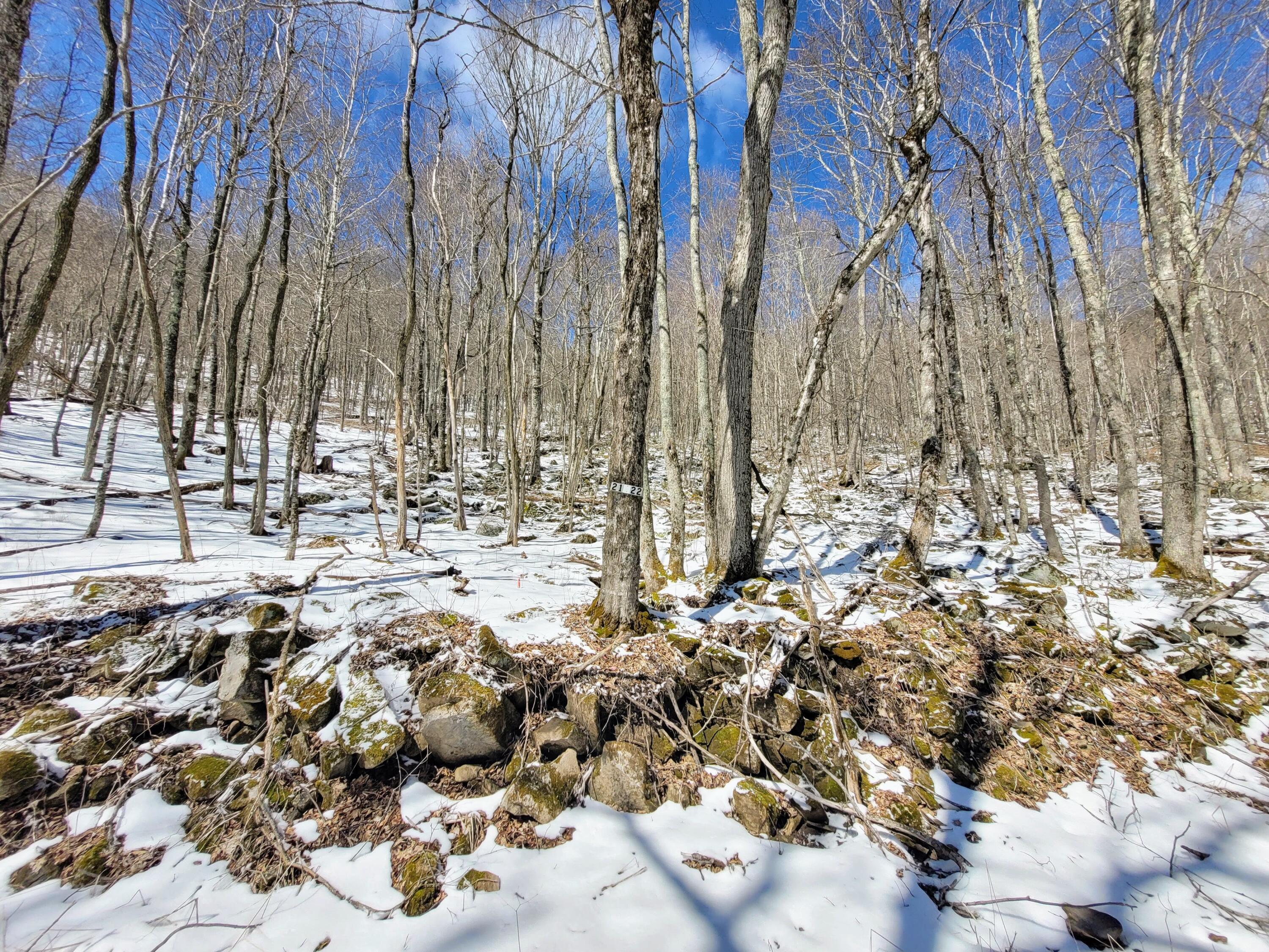 Image 4: 20230319_134916 (1)