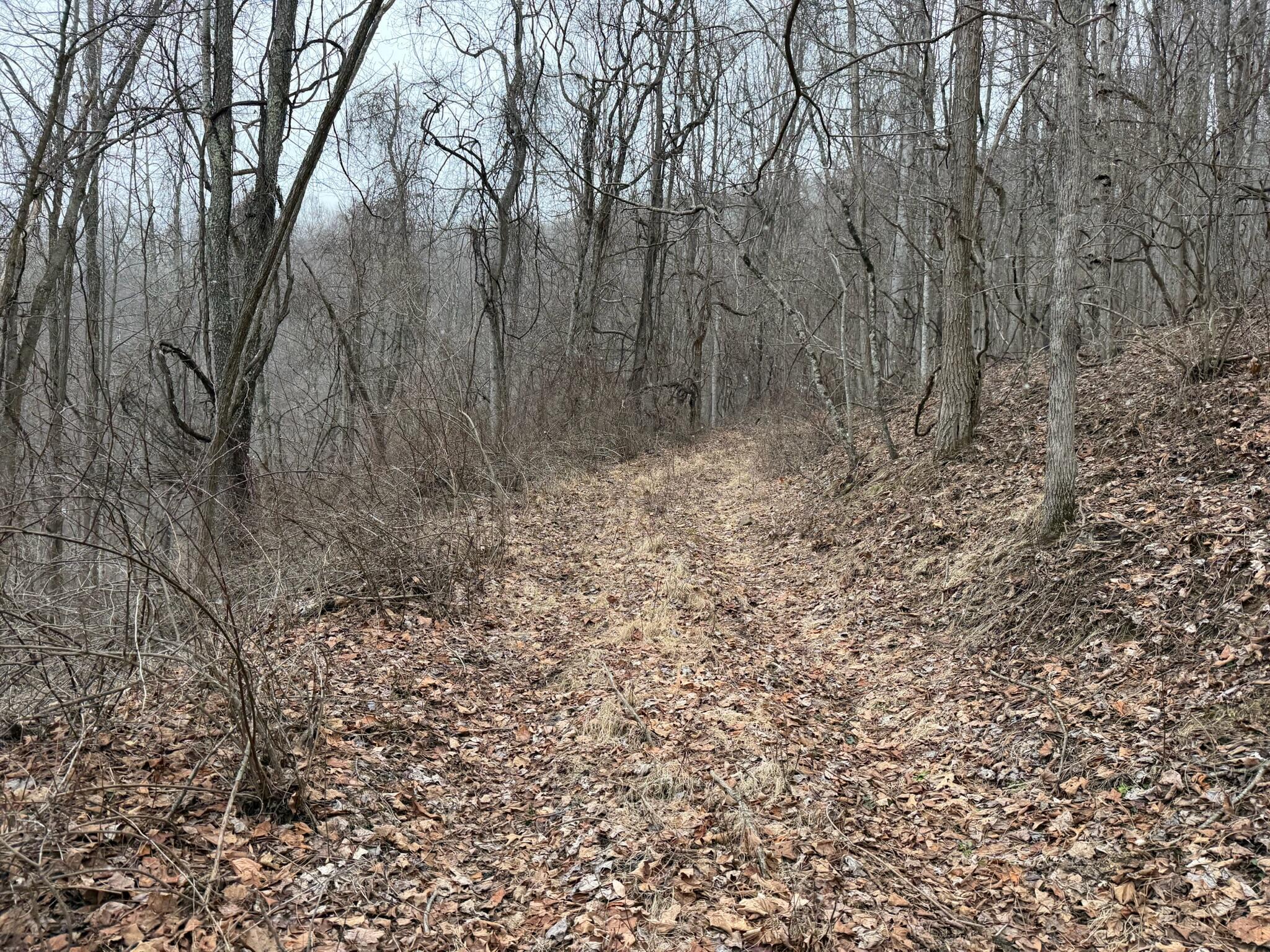 Image 2: Property