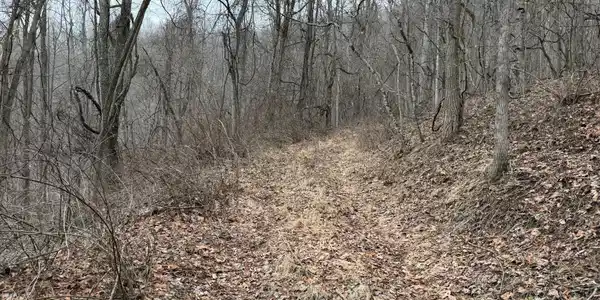Image 2: Property