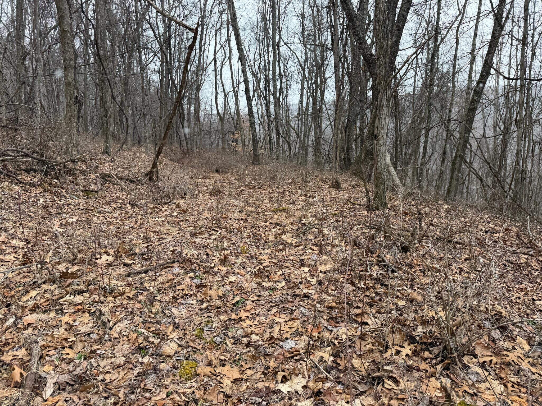 Image 3: Property