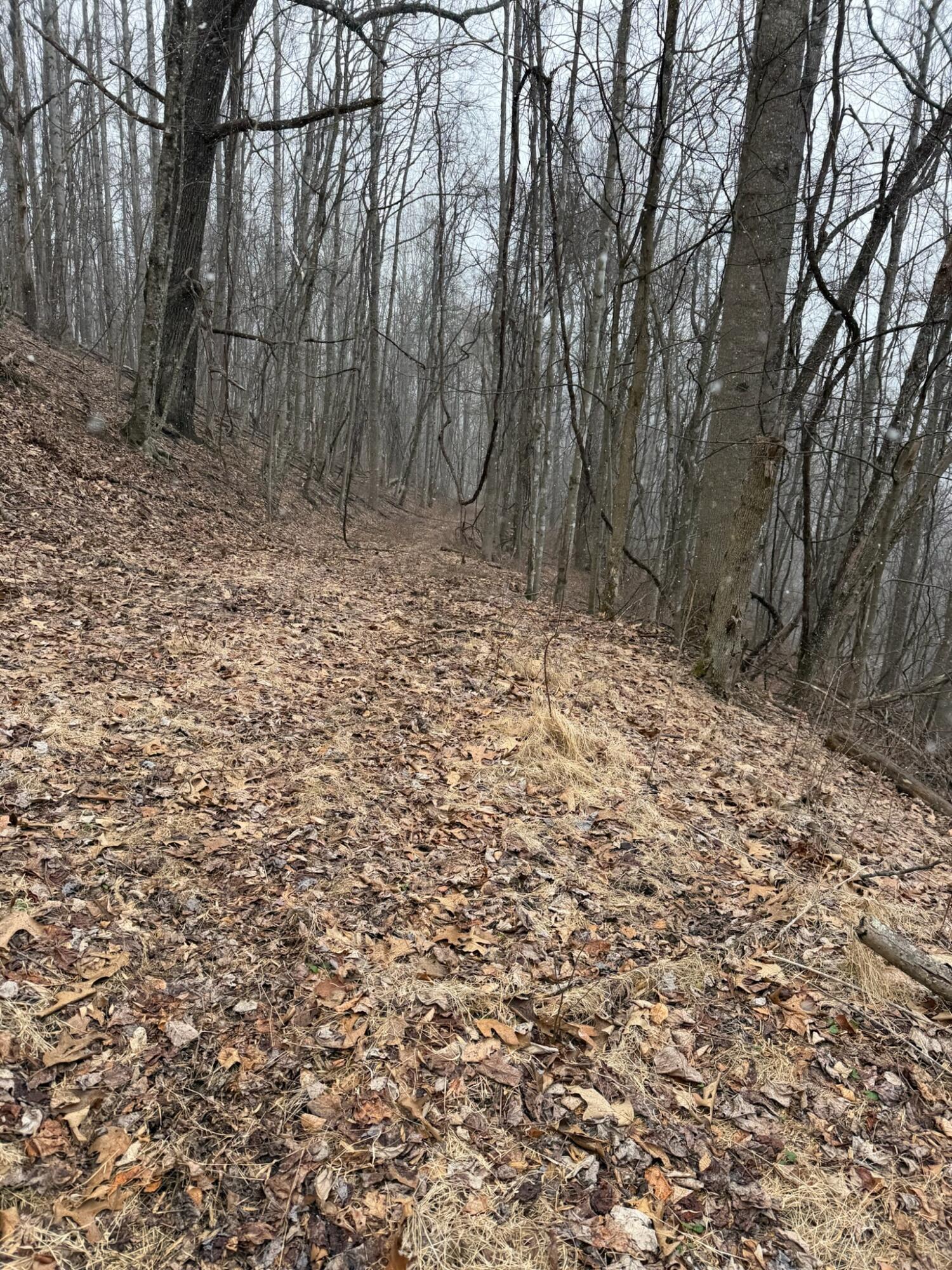 Image 4: Property