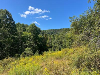 Hamilton Ridge Road