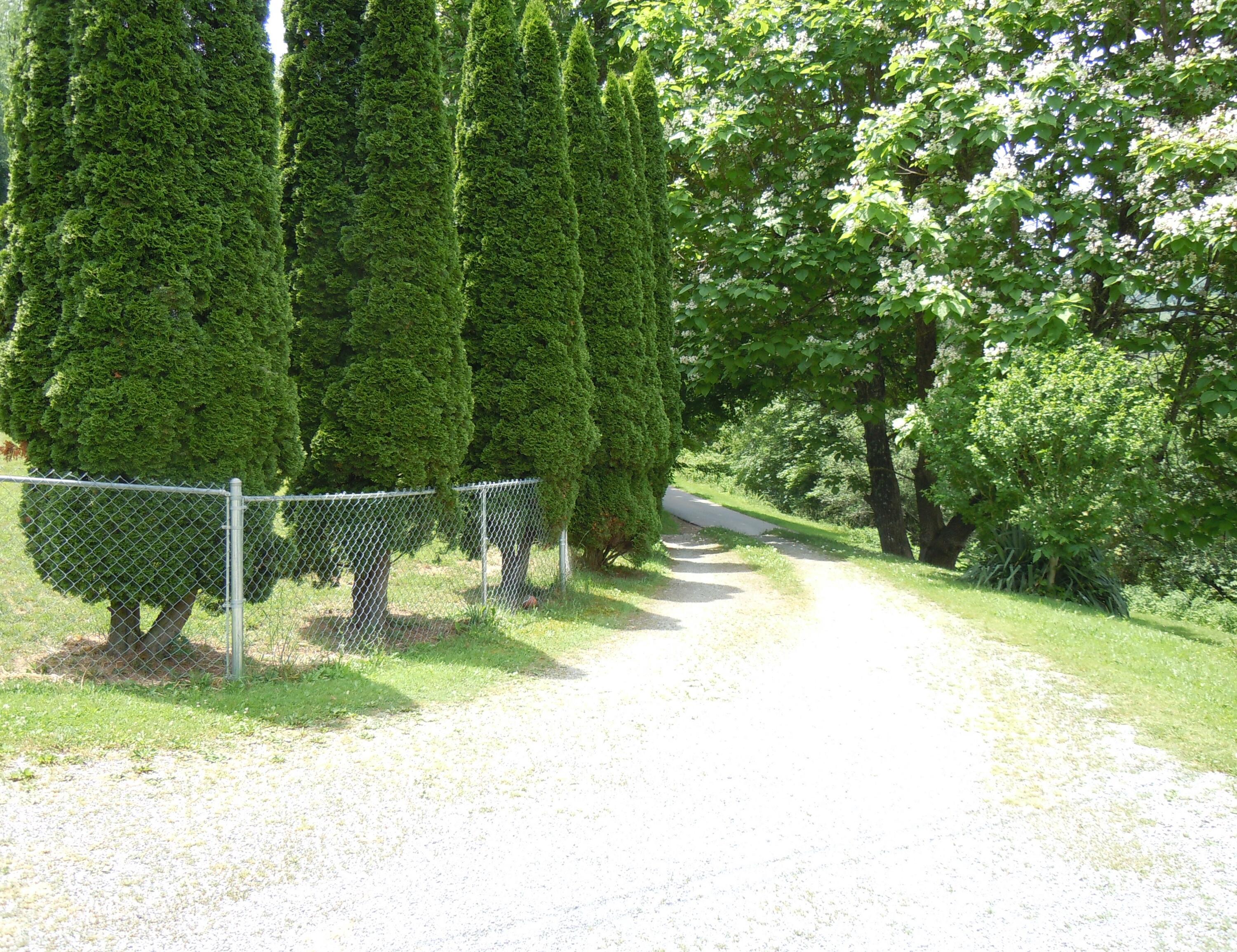 Image 2: 0 Driveway