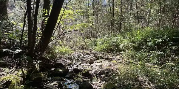Image 3: image 806893