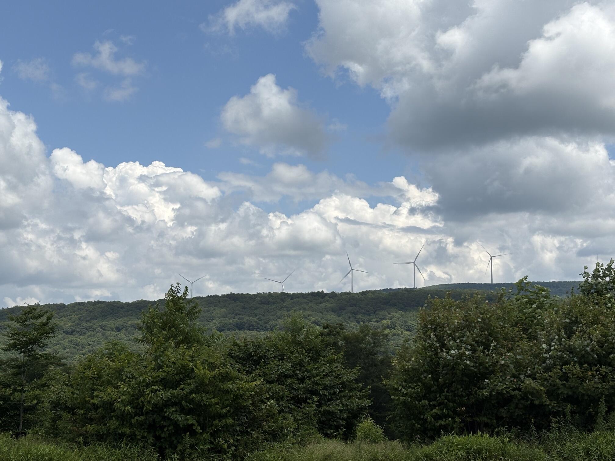 Image 3: IMG_6811