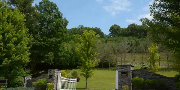 Image 4: Retreat Lot 156 Tour