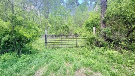 Powell Mountain Rd
