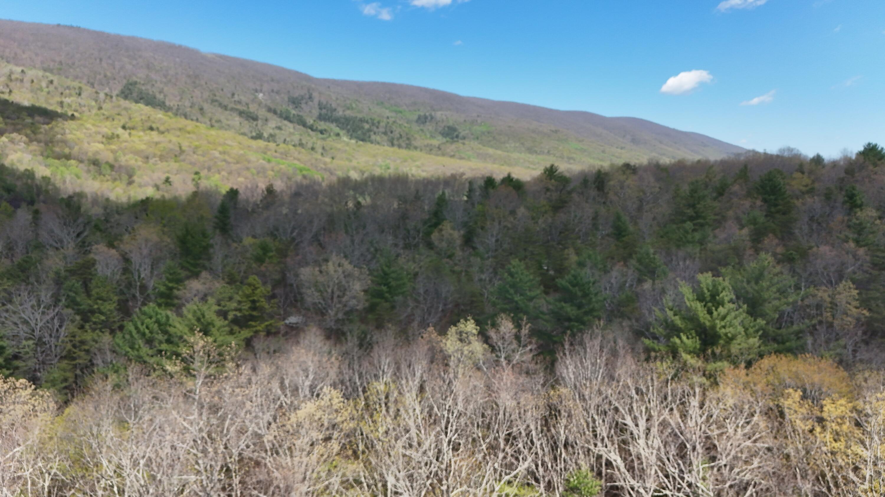 Image 2: DJI_20260420111135_0073_D (3200x1800)