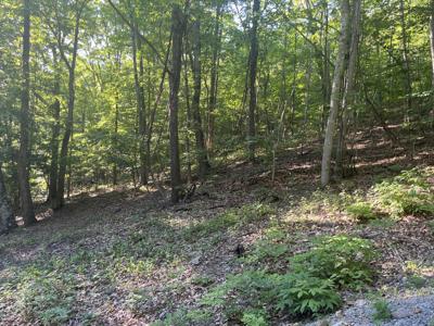 34 Wild Wood Ridge