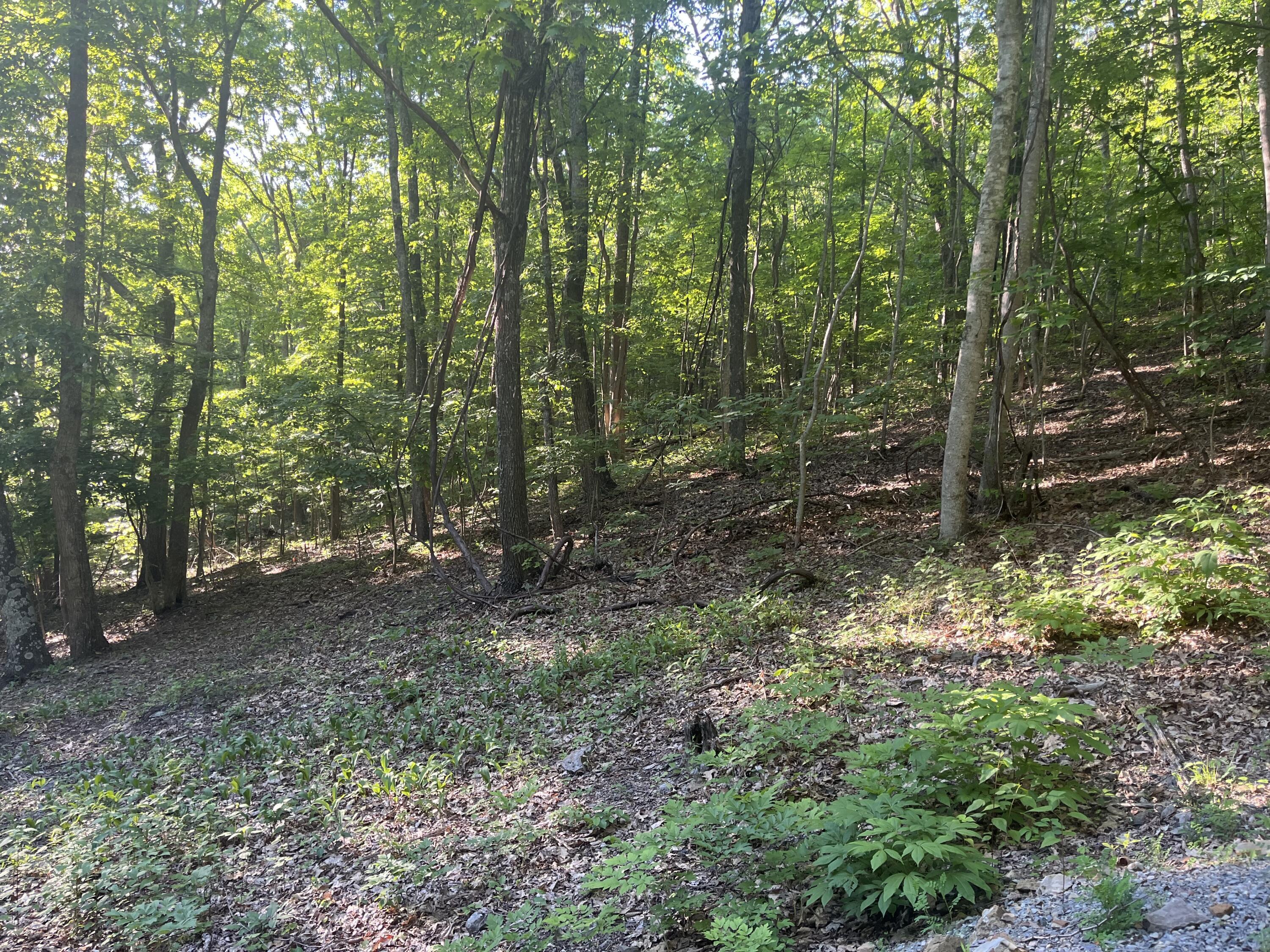Image 1: Lot 34