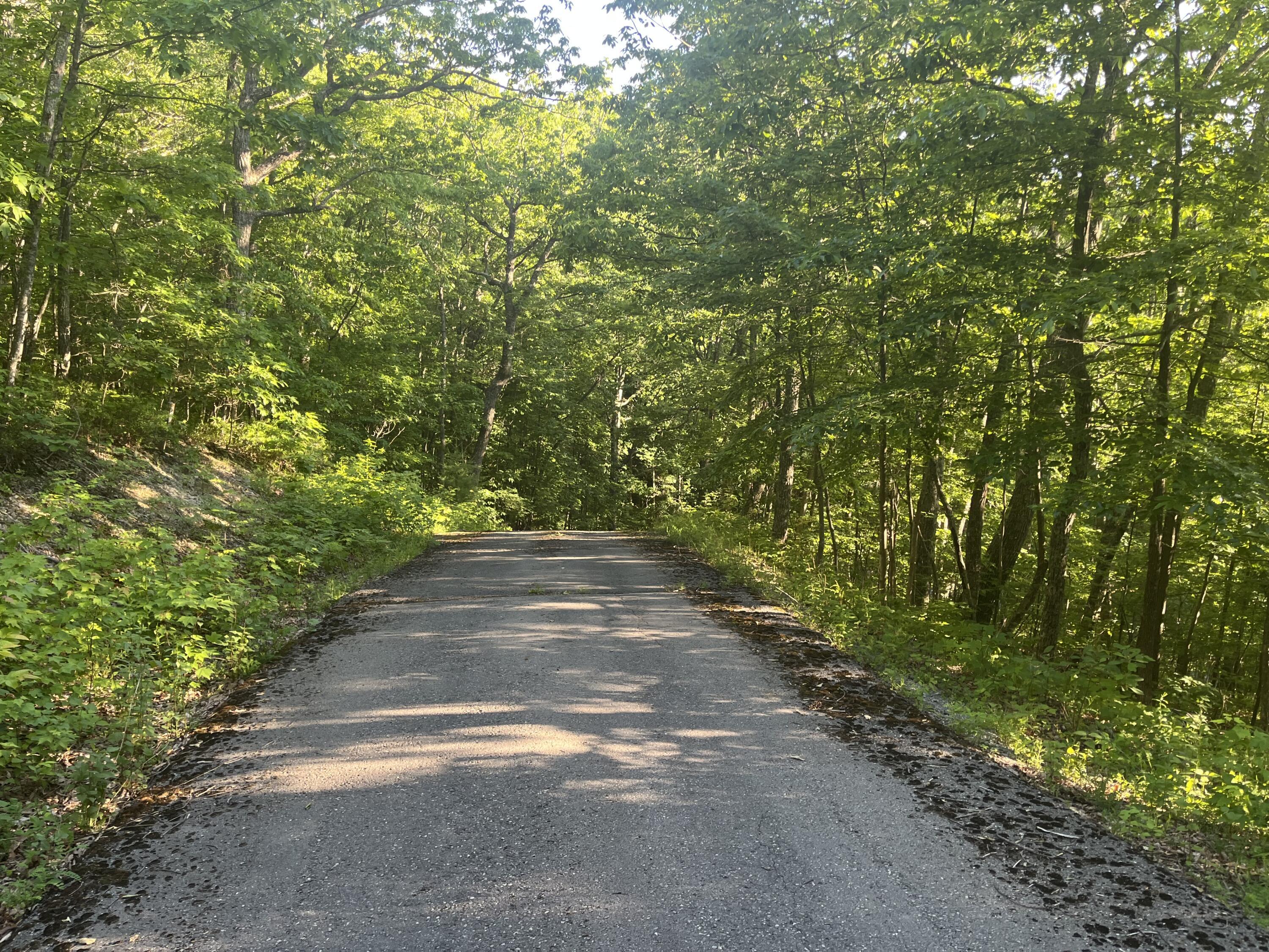 Image 2: Lot 34