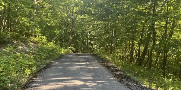Image 2: Lot 34
