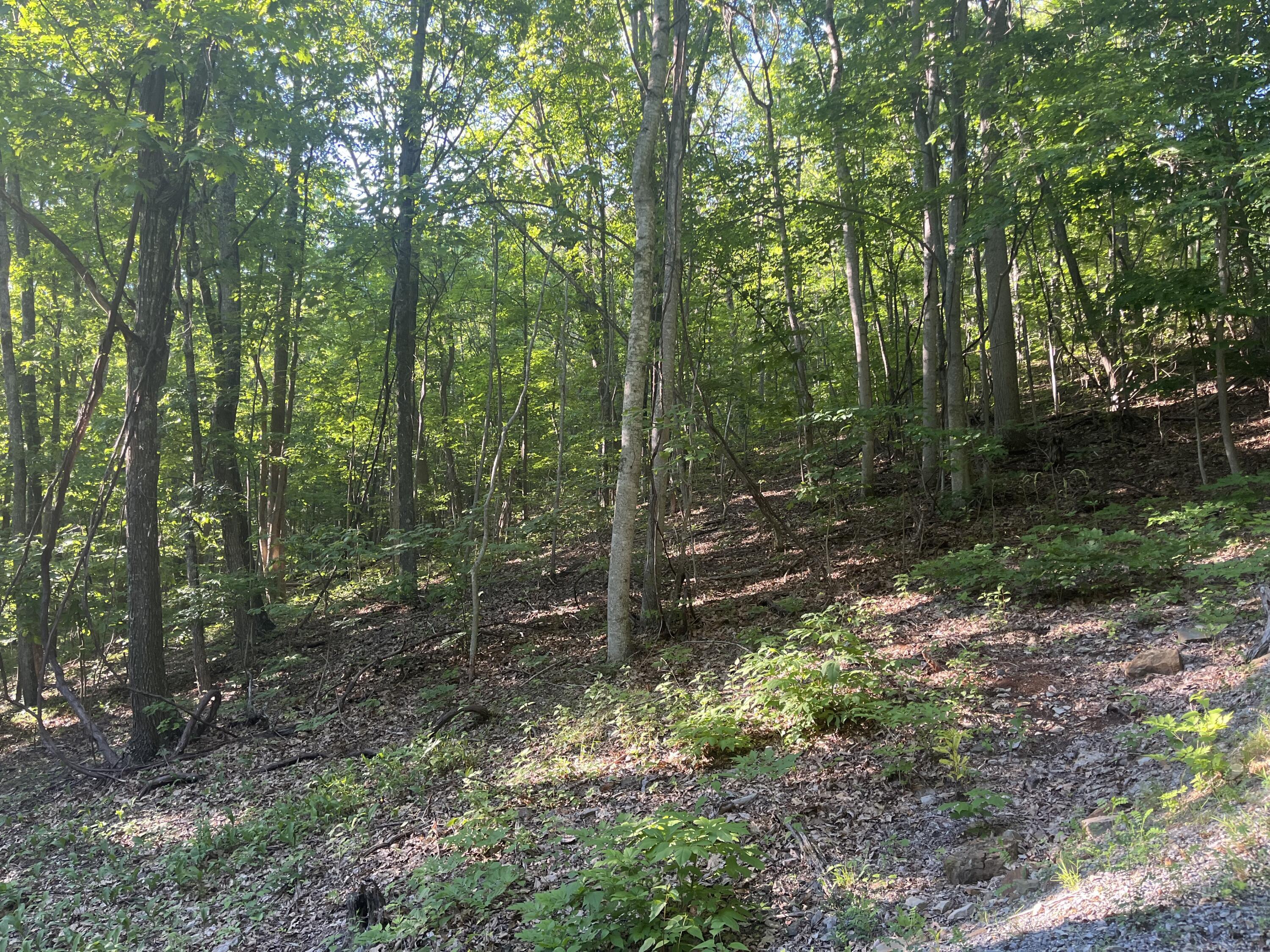 Image 3: Lot 34