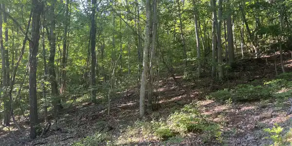 Image 3: Lot 34