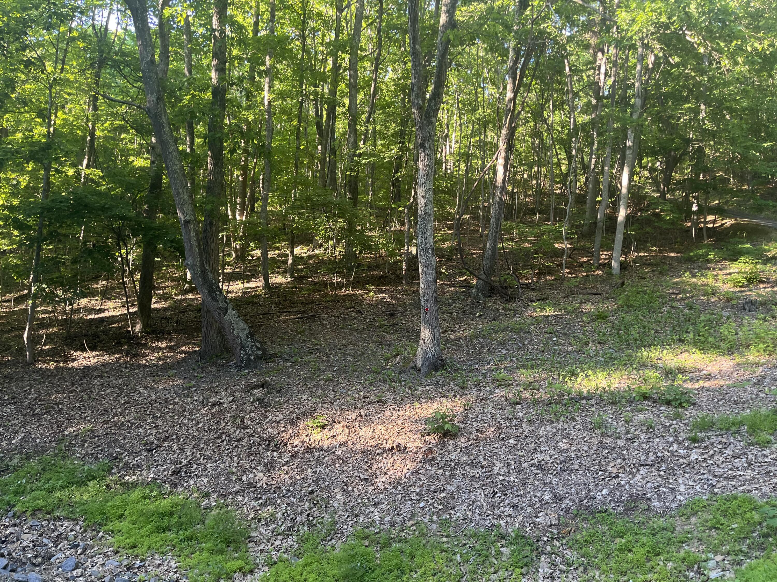 Image 4: Lot 34