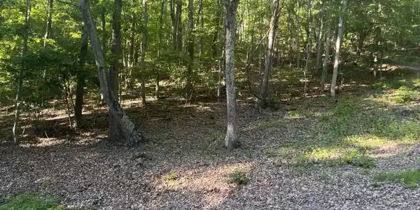 Image 4: Lot 34