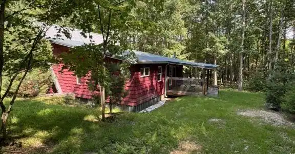 Image 4: image 804550