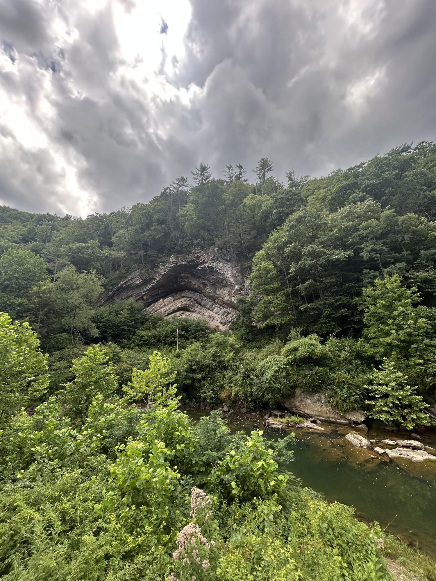 Image 3: image 805646