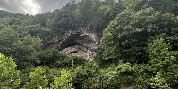 Image 3: image 805646