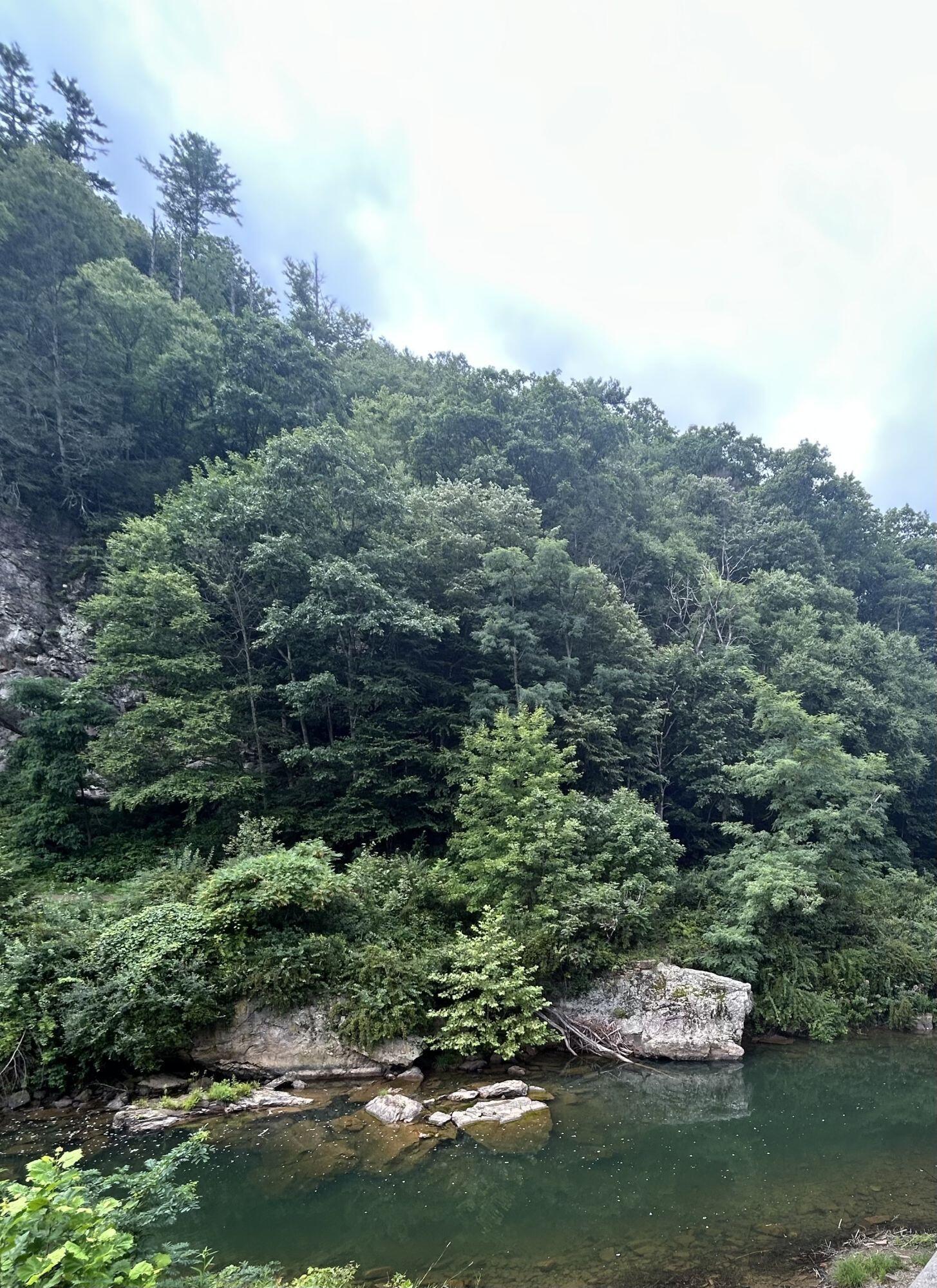 Image 4: image 805642
