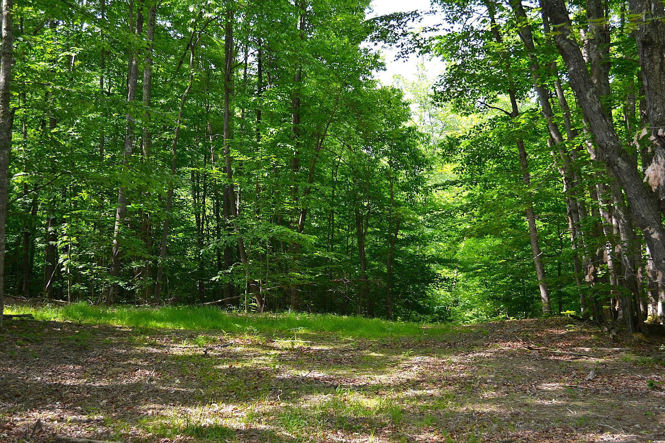 Image 1: DSC_0020