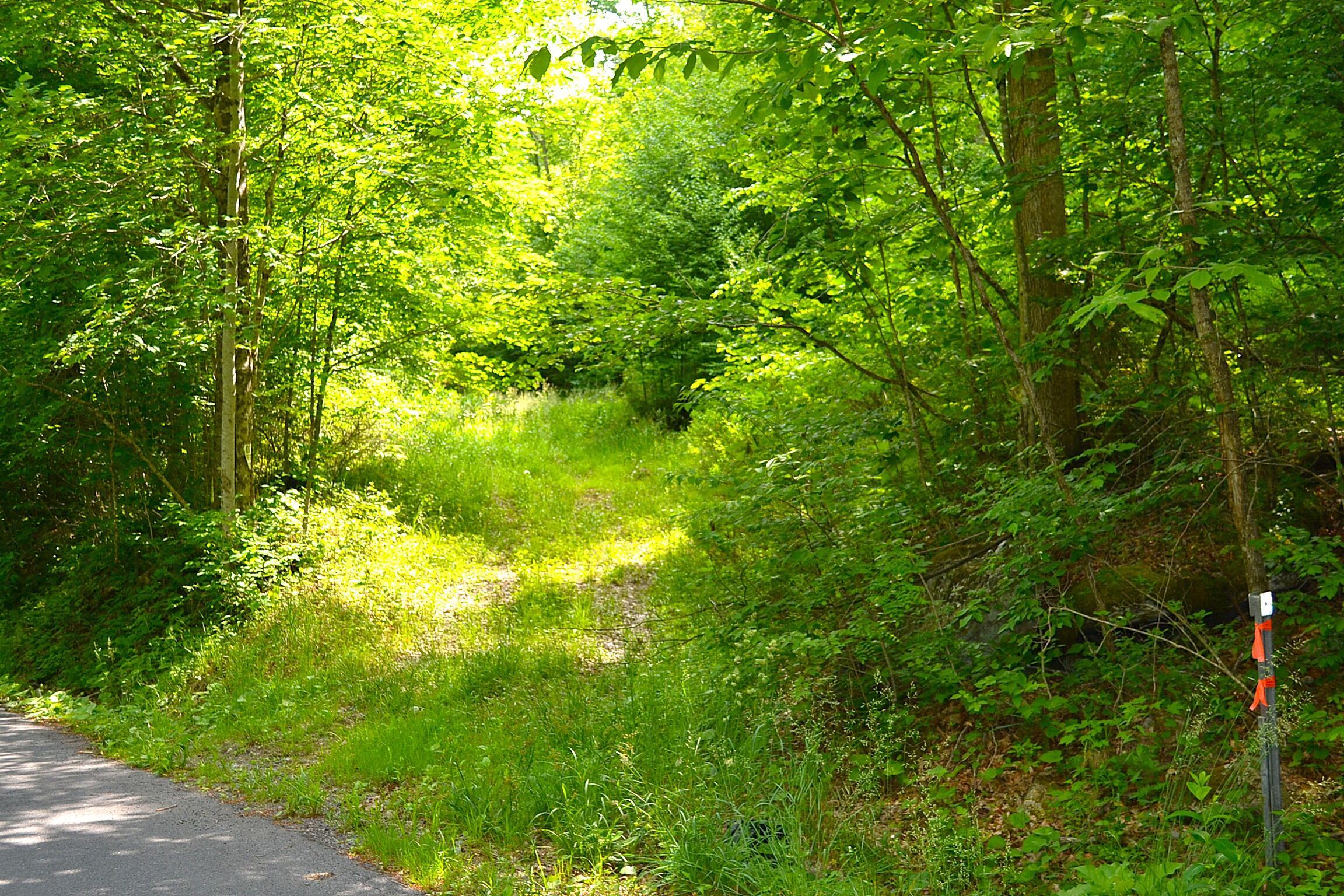 Image 2: DSC_0002