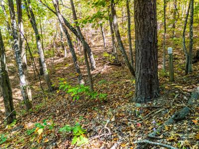 Retreat Lot 57 White Rock Trl