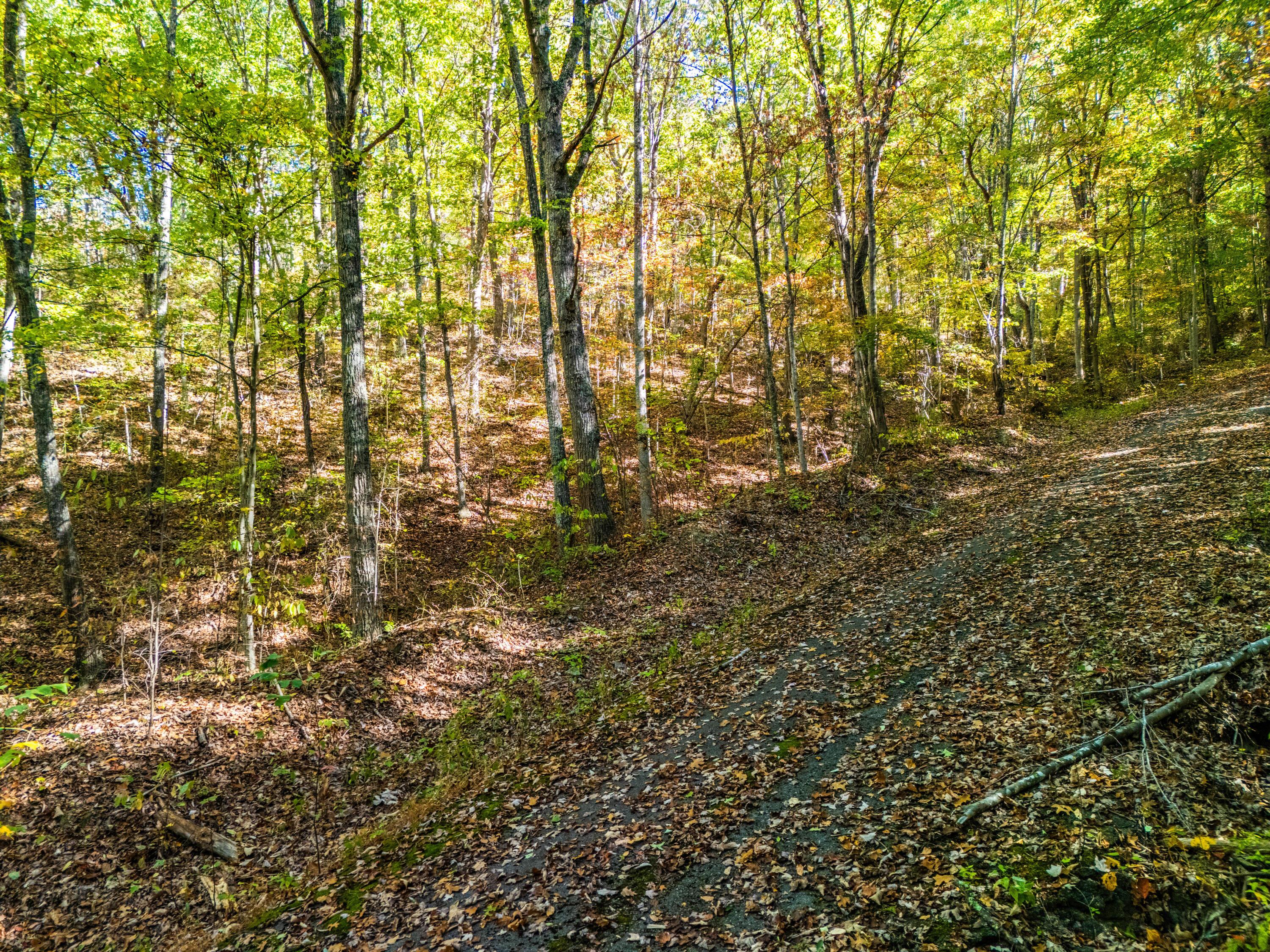 Image 2: Lot 57 White Rock Trl