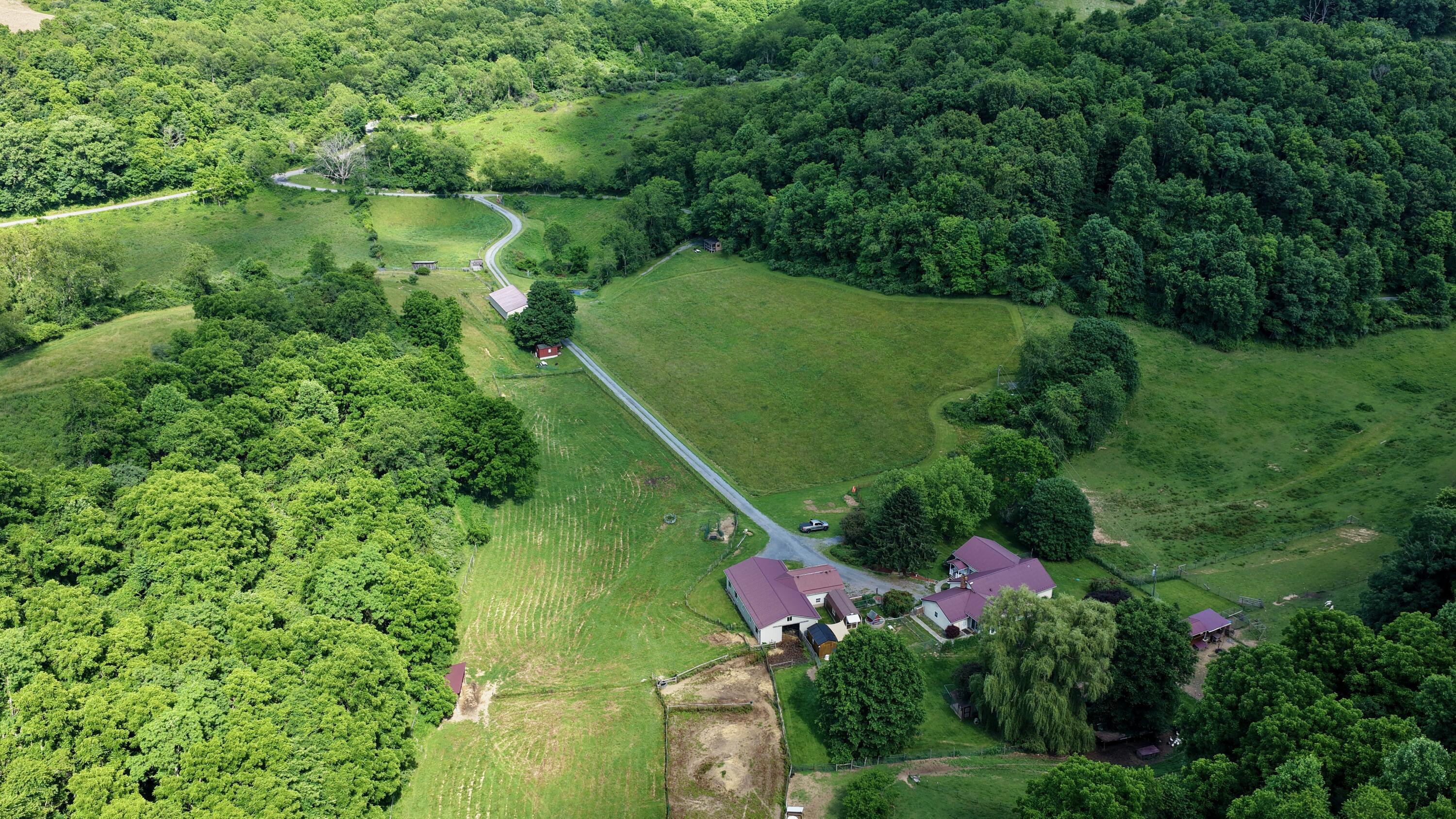 Image 3: Sampson Road