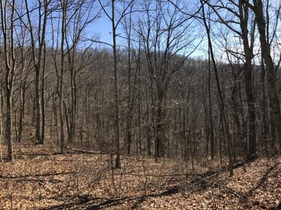 Lot 39 Wildwood Rdg