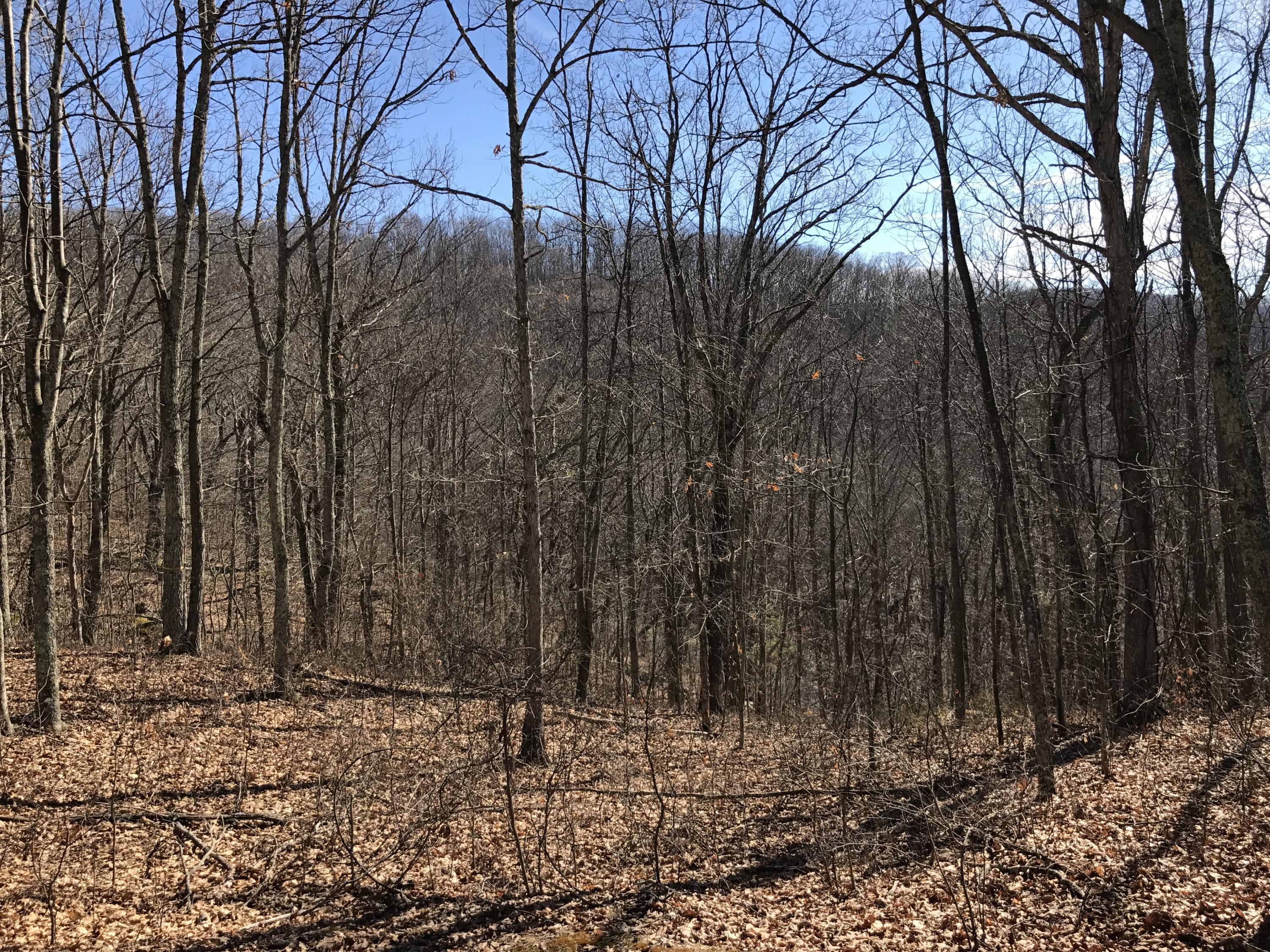 Image 1: Lot 39