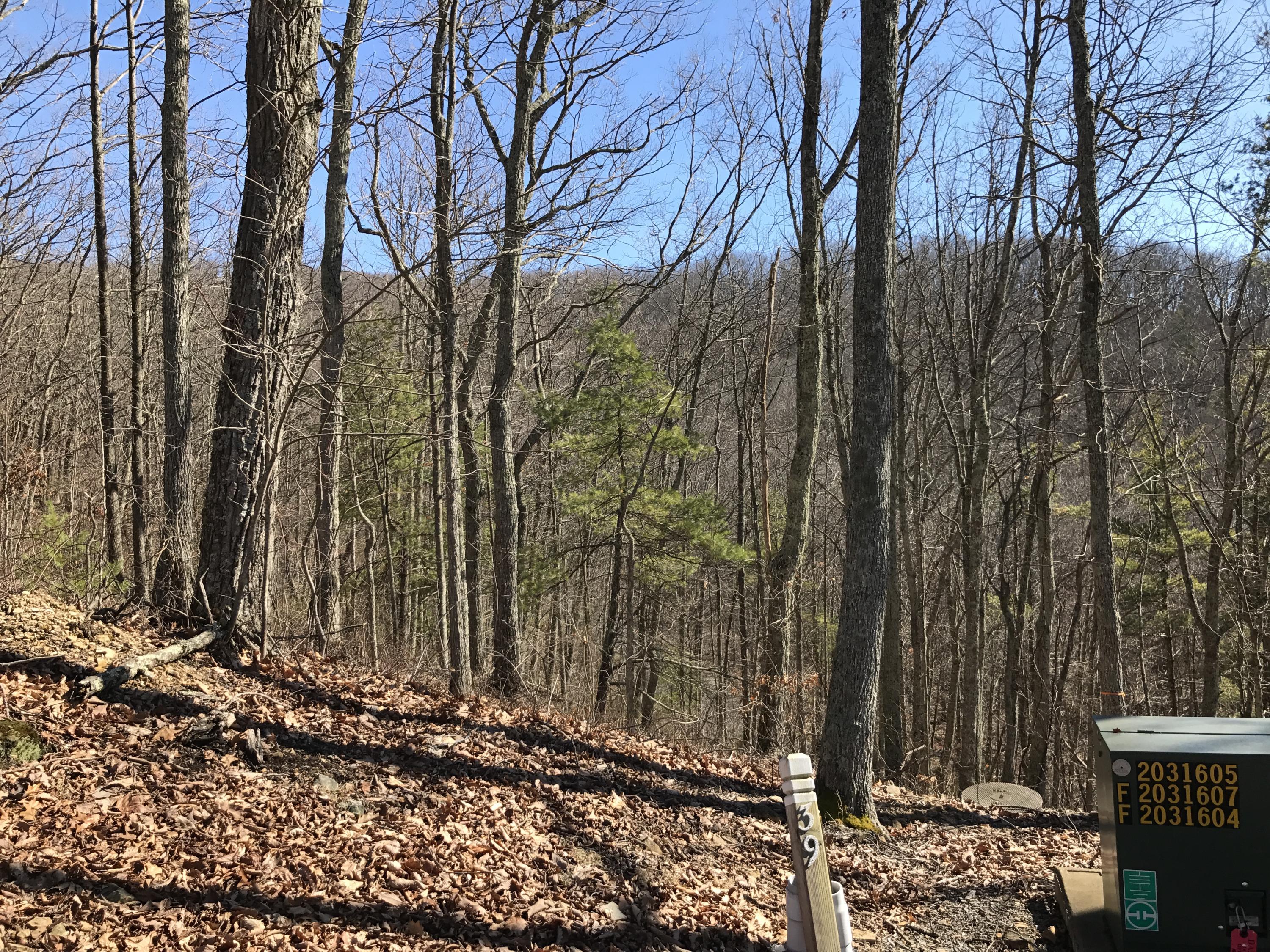 Image 2: Lot 39 view2