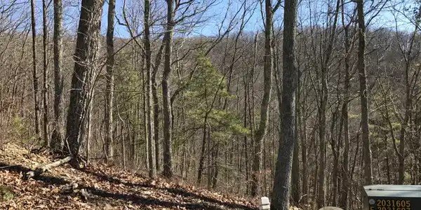 Image 2: Lot 39 view2