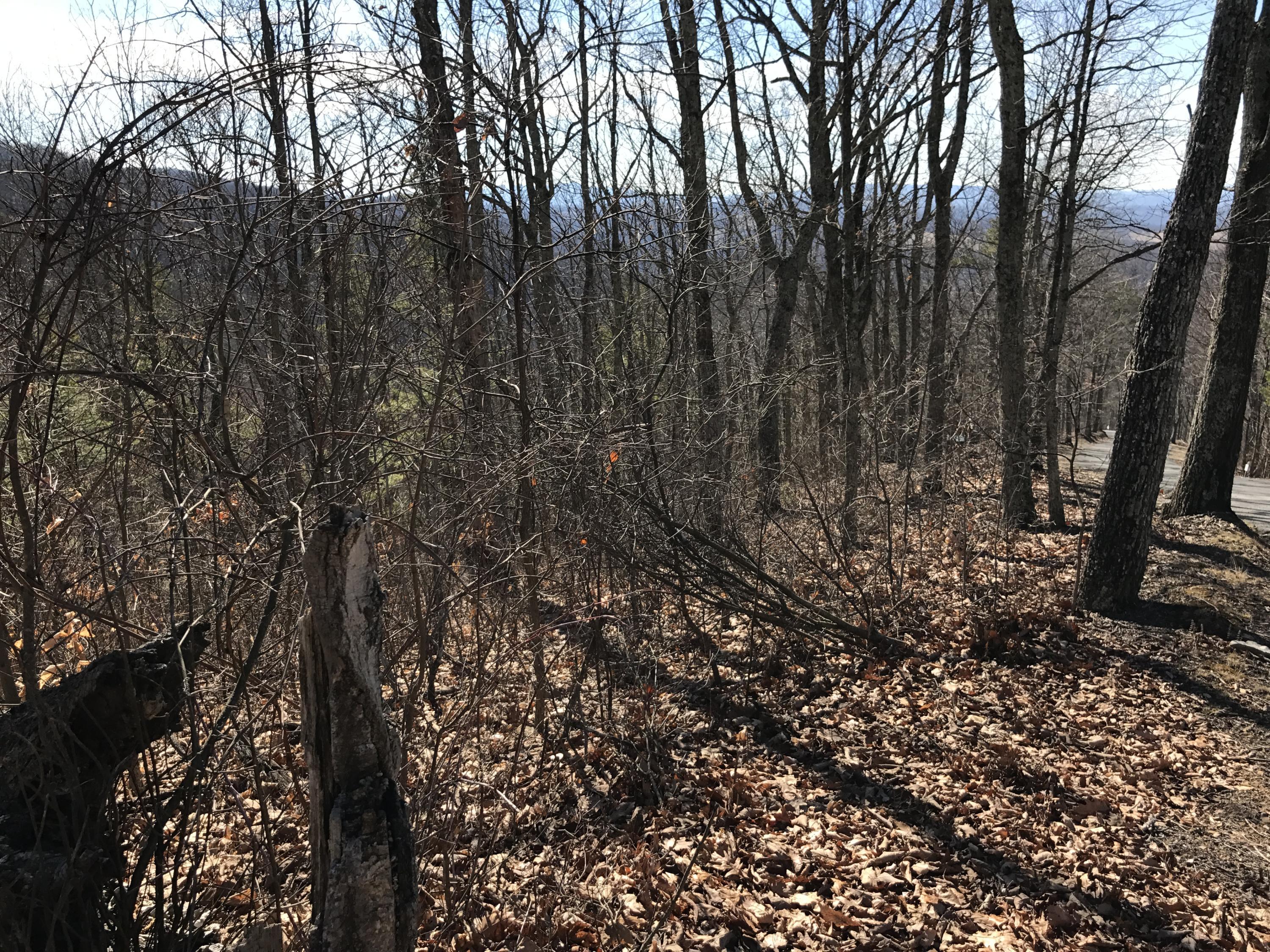 Image 3: Lot 39 view3
