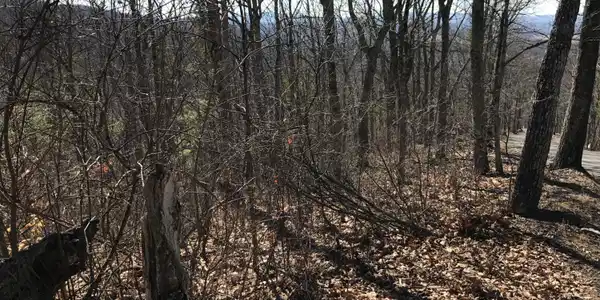 Image 3: Lot 39 view3