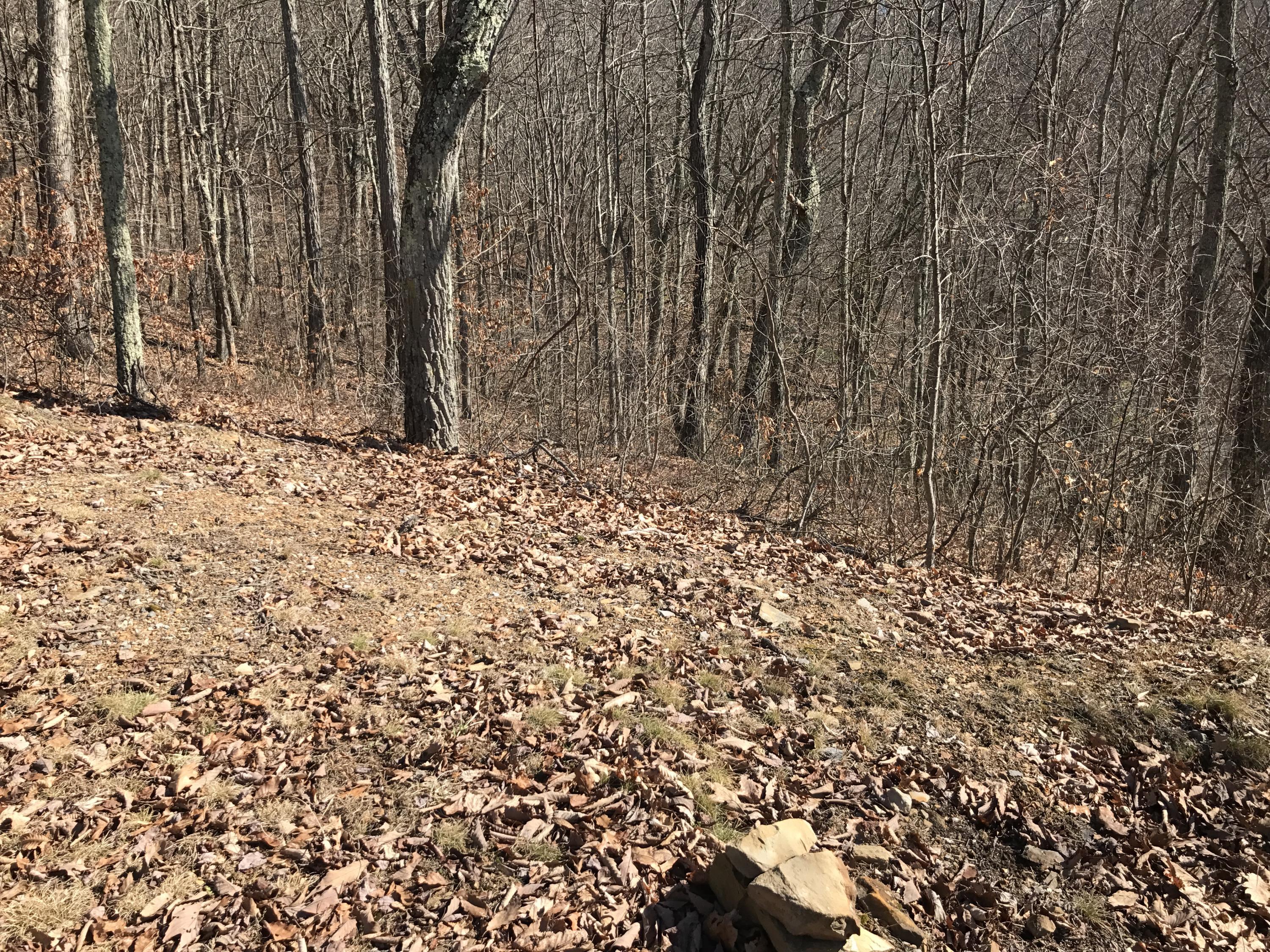Image 4: Lot 39 view4