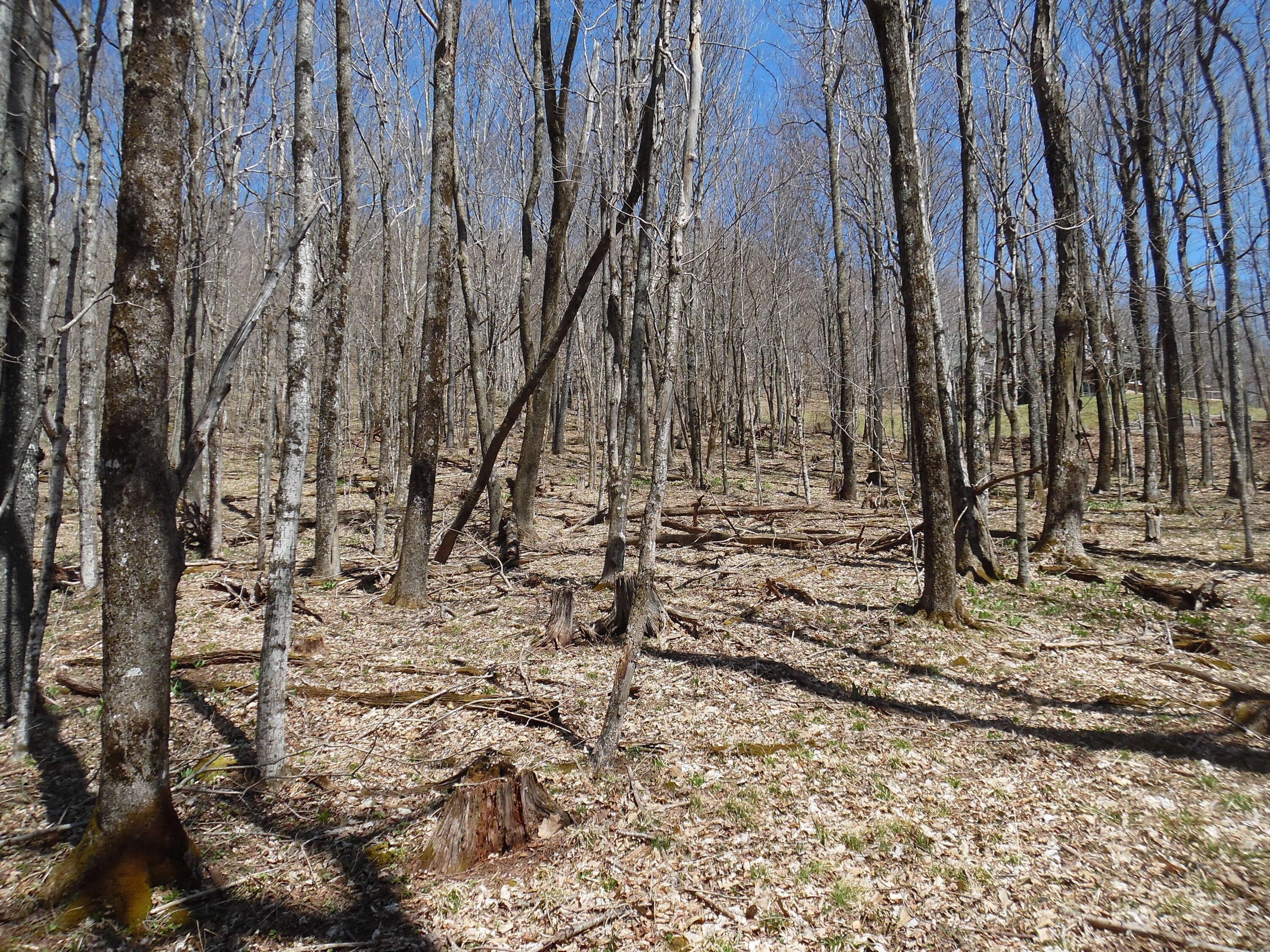 Image 3: image 672622