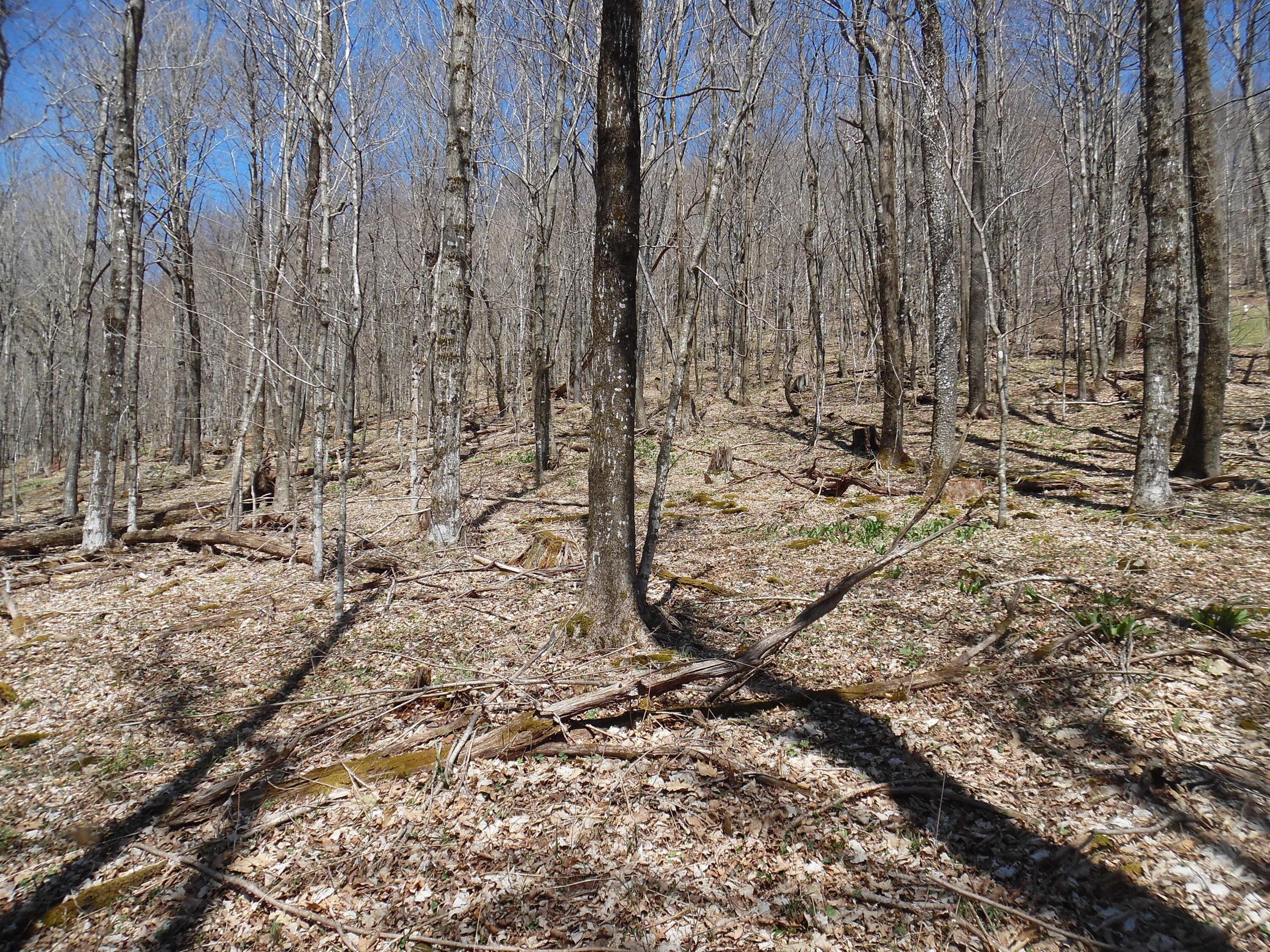 Image 4: image 672643