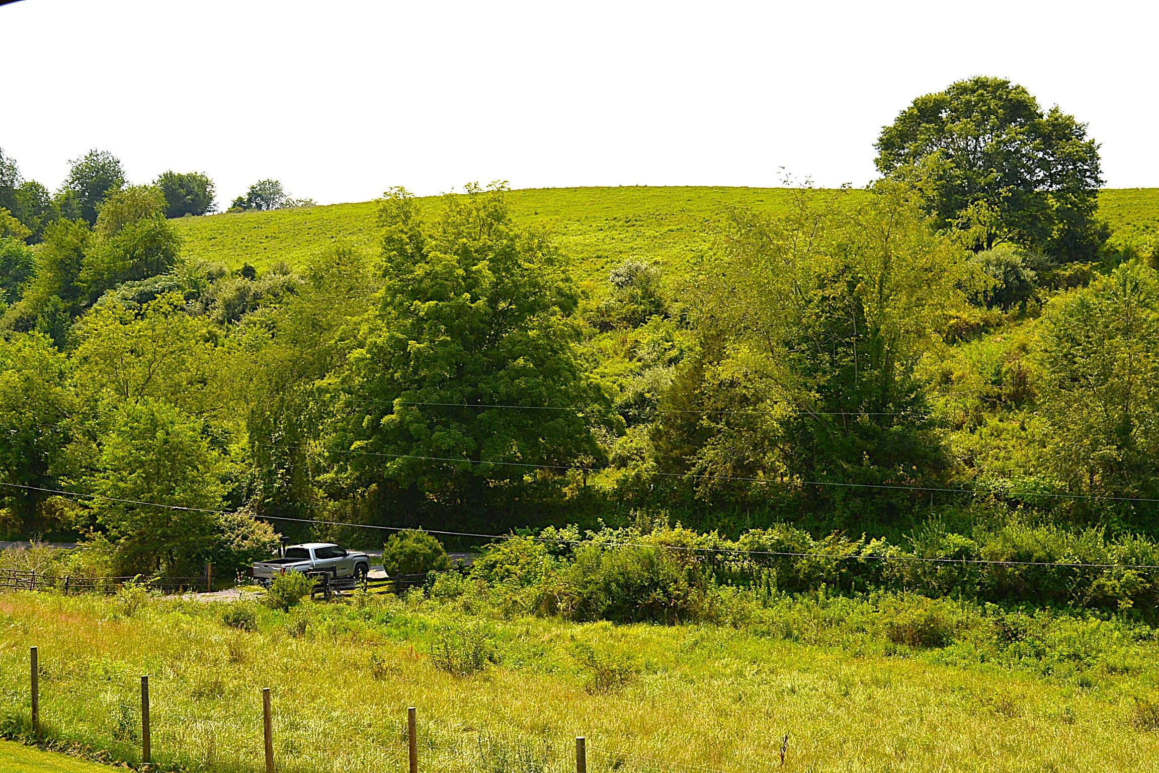 Image 2: View From Front Porch