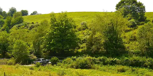 Image 2: View From Front Porch