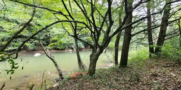 Image 3: 1000051577