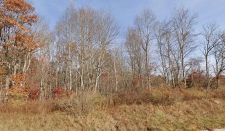 Morris Branch Road