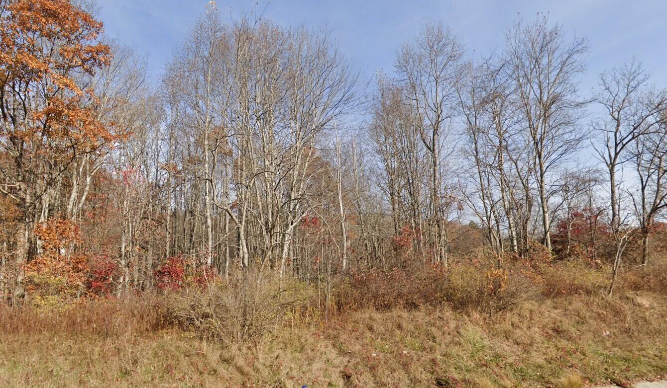 Image 1: Property