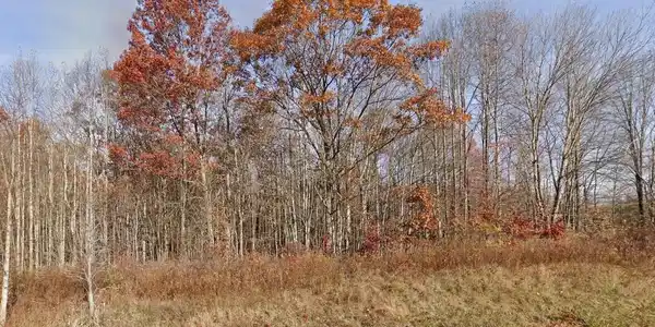 Image 2: Property