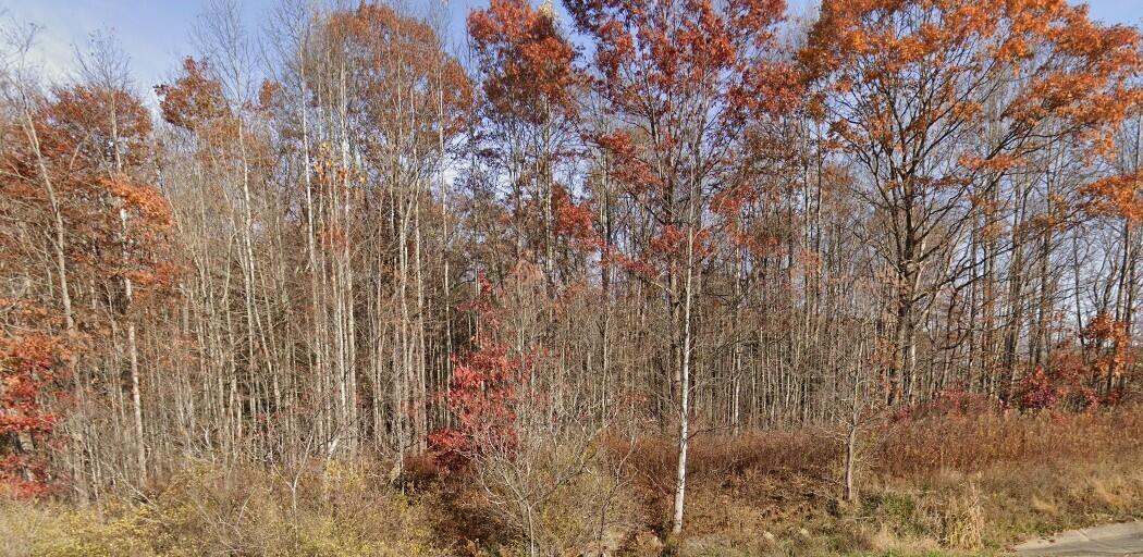 Image 3: Property