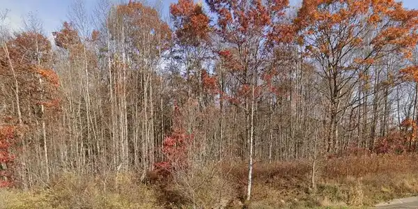 Image 3: Property
