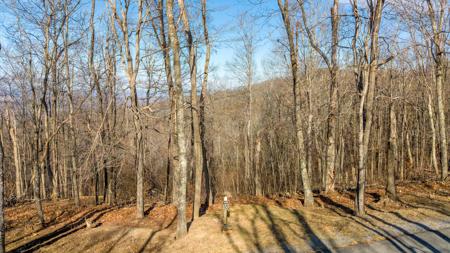 Lot 153 Withrow Landing The Retreat On White Rock Mtn
