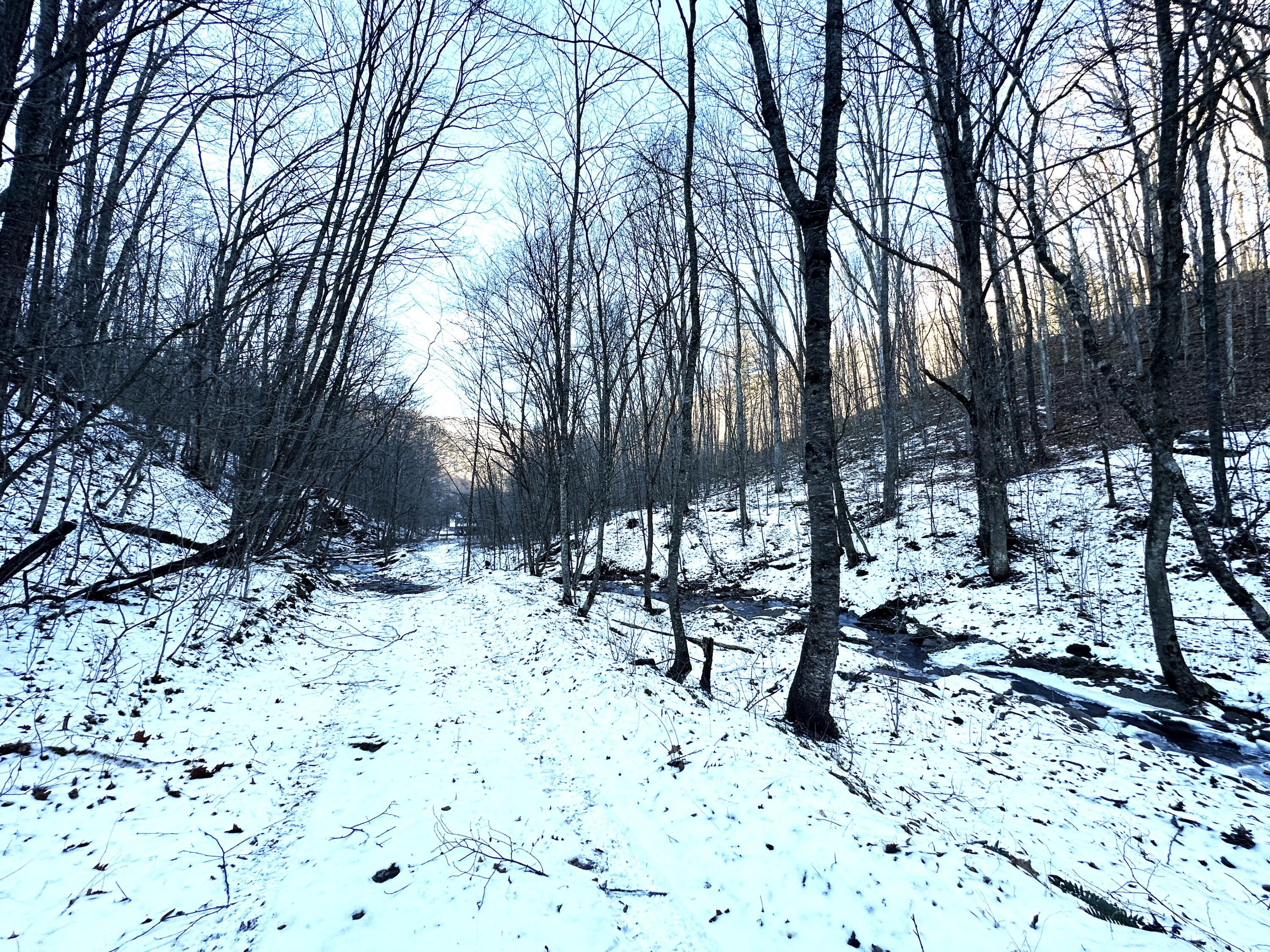 Image 4: IMG_8164